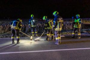 Elektrofahrzeug landet nach Unfall im Maisfeld
