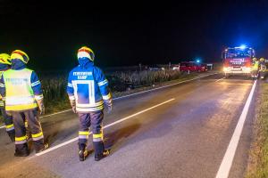 Elektrofahrzeug landet nach Unfall im Maisfeld