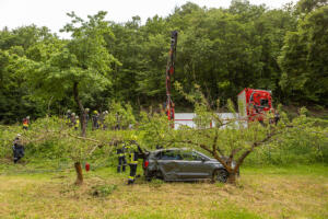 Pkw landet nach Kollision mit einem Autobus in einem Marillengarten