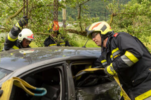 Pkw landet nach Kollision mit einem Autobus in einem Marillengarten