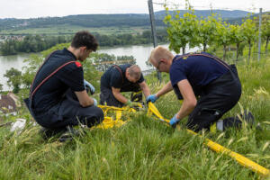 Tödlicher Traktorabsturz in einem Steiner Weingarten