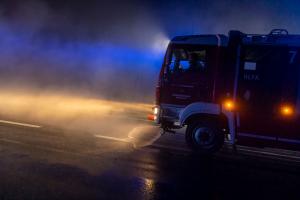 Wildschweine verirren sich auf die B37a - Verkehrsunfall