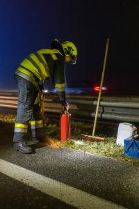 Wildschweine verirren sich auf die B37a - Verkehrsunfall