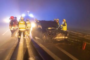 Wildschweine verirren sich auf die B37a - Verkehrsunfall