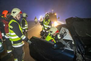 Wildschweine verirren sich auf die B37a - Verkehrsunfall