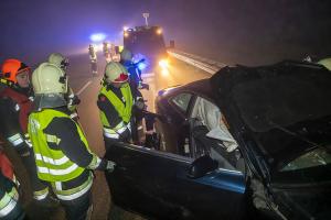 Wildschweine verirren sich auf die B37a - Verkehrsunfall