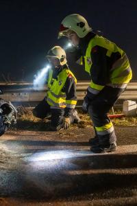 Wildschweine verirren sich auf die B37a - Verkehrsunfall
