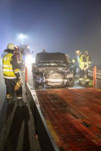 Wildschweine verirren sich auf die B37a - Verkehrsunfall