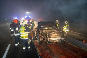 Wildschweine verirren sich auf die B37a - Verkehrsunfall