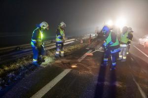 Wildschweine verirren sich auf die B37a - Verkehrsunfall