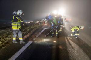 Wildschweine verirren sich auf die B37a - Verkehrsunfall