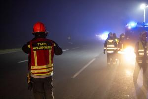 Wildschweine verirren sich auf die B37a - Verkehrsunfall