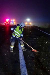Wildschweine verirren sich auf die B37a - Verkehrsunfall