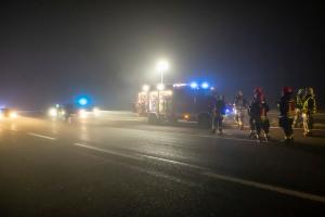 Wildschweine verirren sich auf die B37a - Verkehrsunfall