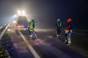 Wildschweine verirren sich auf die B37a - Verkehrsunfall