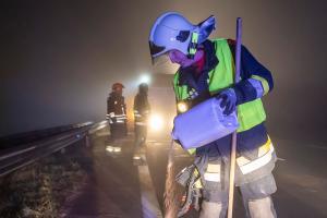 Wildschweine verirren sich auf die B37a - Verkehrsunfall