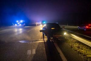 Wildschweine verirren sich auf die B37a - Verkehrsunfall
