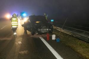 Wildschweine verirren sich auf die B37a - Verkehrsunfall