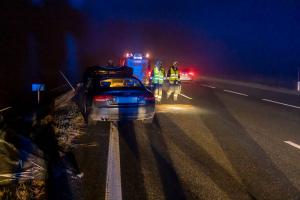 Wildschweine verirren sich auf die B37a - Verkehrsunfall