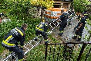 Feuerwehr holt eine patschnasse Katze von einem Baum