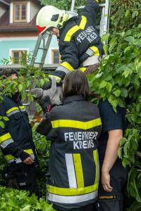 Feuerwehr holt eine patschnasse Katze von einem Baum