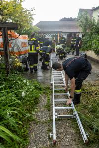 Feuerwehr holt eine patschnasse Katze von einem Baum