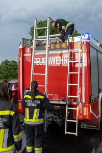Feuerwehr holt eine patschnasse Katze von einem Baum