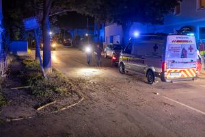 Junger Fahrzeuglenker rast mit seinem BMW durch Gneixendorf und prallt gegen einen Baum