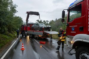 Feuerwehr Lengenfeld nach Wildunfall im Bergungseinsatz
