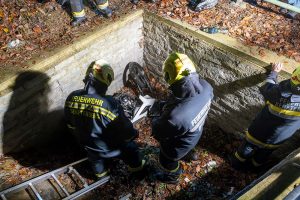 KR T2 Moped 13112025-20