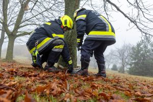 KR T1 Moritzreith 02122025-27