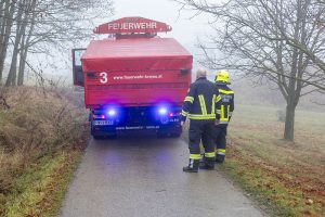Fahrer weicht Hund aus und landet mit Lkw im Graben
