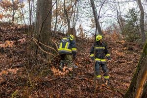 KR T1 Garmanns 02122025-2