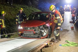 Wildunfall auf L100 - FF Paudorf meistert erste Fahrzeugbergung nach Neugründung