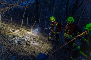 KS B1 RauchimWald 09032026-10