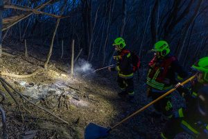 KS B1 RauchimWald 09032026-11