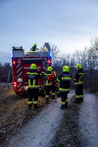 KS B1 RauchimWald 09032026-3