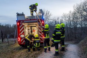 KS B1 RauchimWald 09032026-6