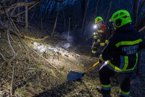 KS B1 RauchimWald 09032026-8