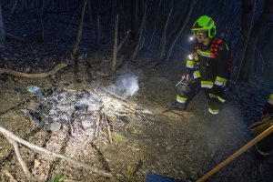 KS B1 RauchimWald 09032026-9