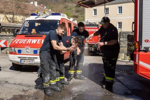 KS B3 Dachstuhl 07042026-51