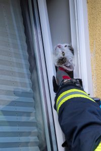 KS T1 Tierrettung 23042026-7