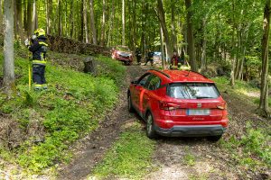 KS T1 PkwBerg Wald 18052026-15