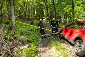 Schlechter Handyempfang sorgt für Großalarm im Wald