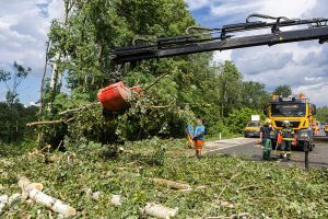 Heftiges Unwetter bei Hollenburg - Sturmschäden erzwingen Sperre der B37a