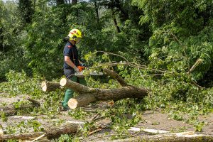 KS T1 Unwetter B37a 22062026-6