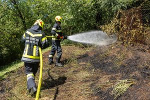 Rasches Eingreifen verhindert größeren Flurbrand in Meidling