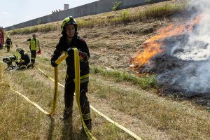 Flurbrand an der S33 vor Übersprung auf Auwald gestoppt