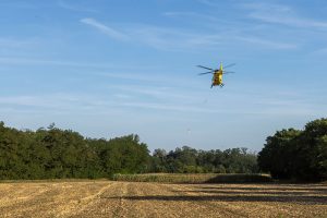 KR T1 Diendorf 09082026-23