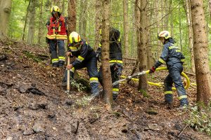KR B2 Waldbrand 16082026-14